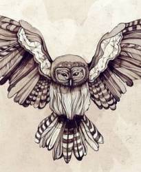 y_eab4225d