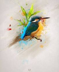 z_03ddc19a