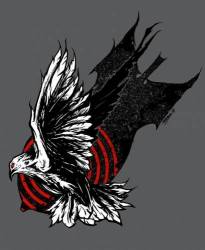 z_b442ded5