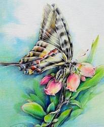 x_4bc28e25