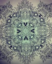 TrXOqTJp0NY
