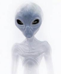x_07697917
