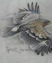 _nGlyOsSuS4