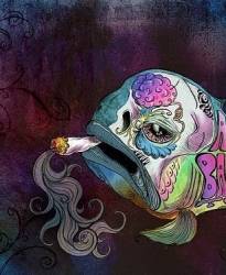 x_0e43bffe